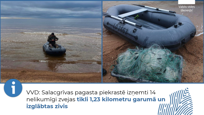VVD: Salacgrīvas pagasta piekrastē izņemti 14 nelikumīgi zvejas tīkli 1,23 kilometru garumā un izglābtas zivis