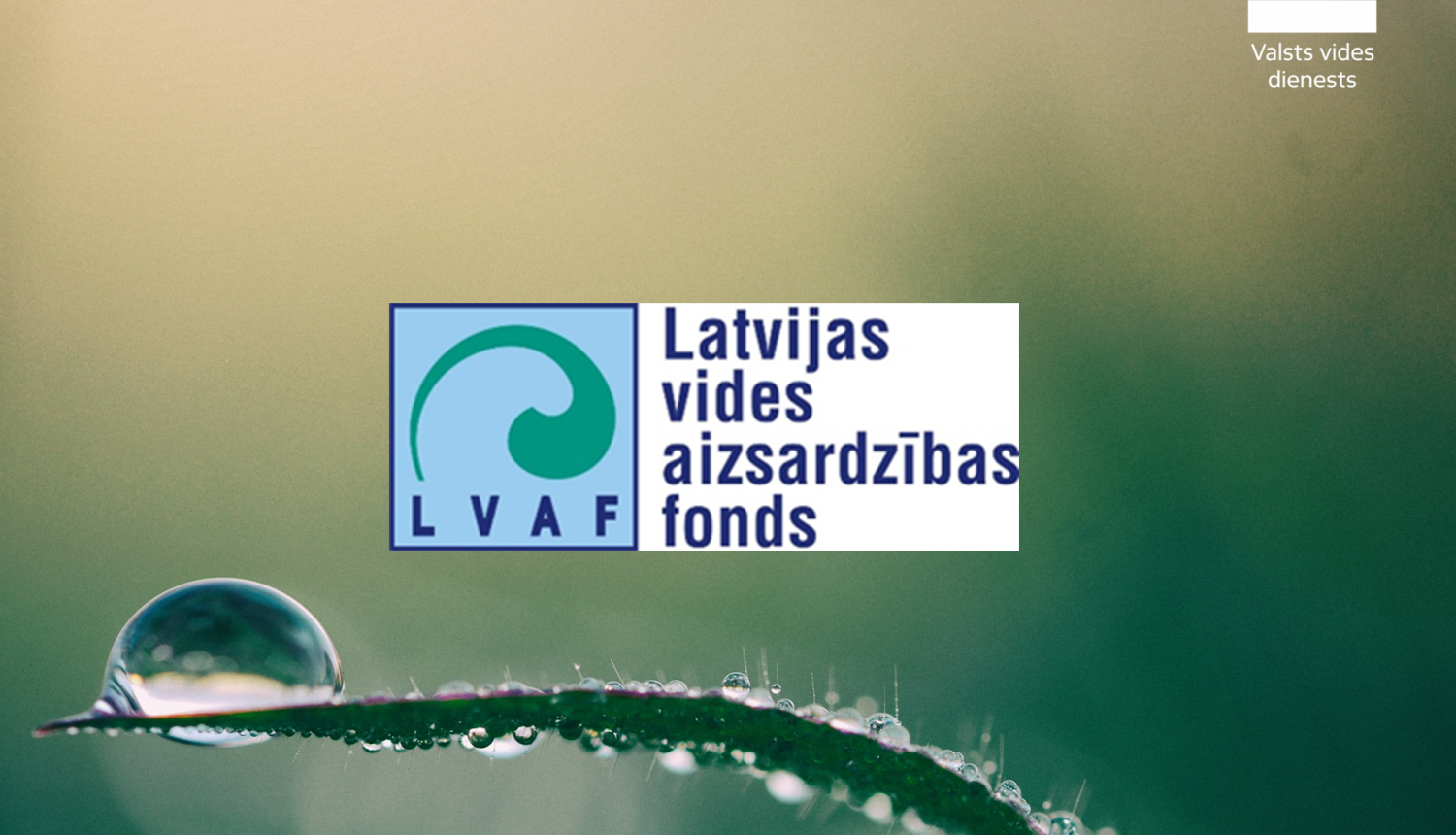 LVAF