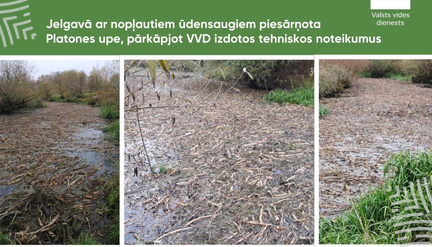 Jelgavā ar nopļautiem ūdensaugiem piesārņota Platones upe