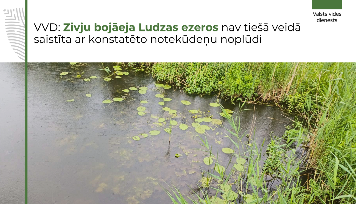 Zivju bojāeja Ludzas ezeros nav tiešā veidā saistīta ar notekūdeņu noplūdi Pildas upē