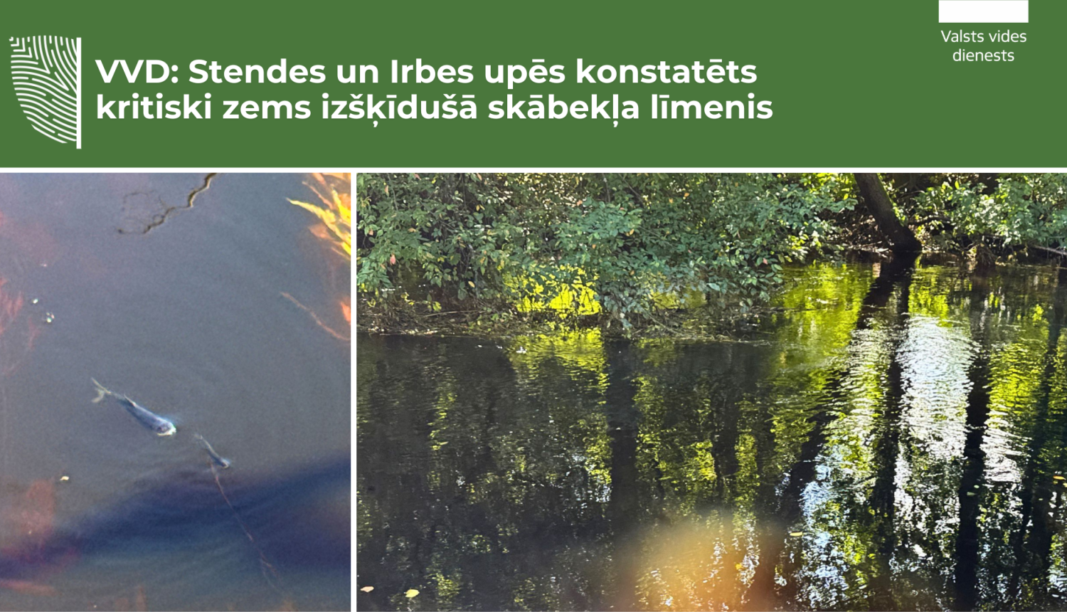VVD: pēc intensīvajām lietavām un teritoriju applūšanas Stendes un Irbes upēs konstatēts kritiski zems izšķīdušā skābekļa līmenis