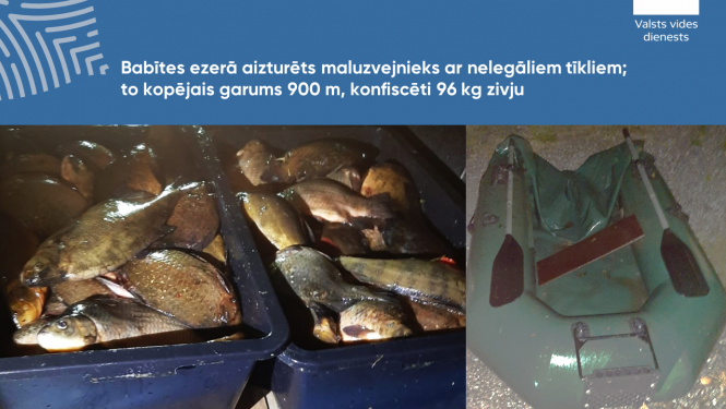 Babītes ezerā aizturēts maluzvejnieks ar nelegāliem tīkliem - to kopējais garums 900 m, konfiscēti 96 kg zivju