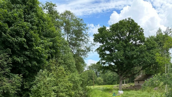 Ar mērķi apzināt progresu Dzelzupes piesārņojuma mazināšanā, VVD tikās ar iedzīvotājiem un Talsu Ūdens vadību 