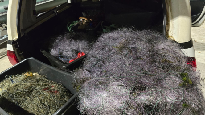 VVD no Babītes ezera izceļ nelegālus tīklus ~2km garumā, no tīkliem atbrīvots liels apjoms zivju un 7 pīles