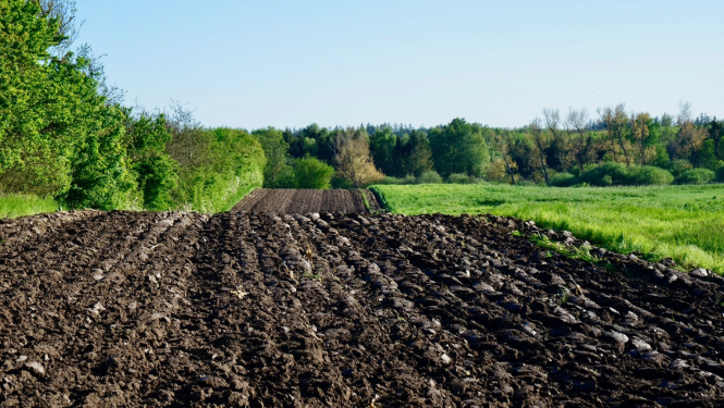 Foto ar uzartu lauku