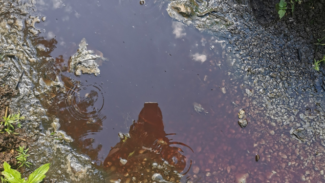 Piesārņojums no notekūdeņiem lopkautuvē