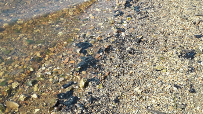 naftas produktu gabali krastā