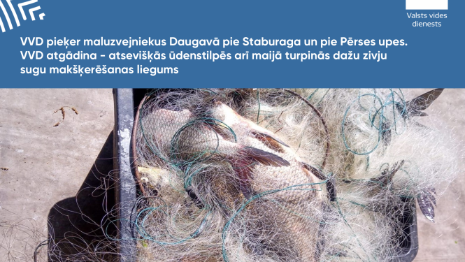 VVD pieķer maluzvejniekus Daugavā pie Staburaga un pie Pērses upes. VVD atgādina - atsevišķās ūdenstilpēs arī maijā turpinās dažu zivju sugu makšķerēšanas liegums