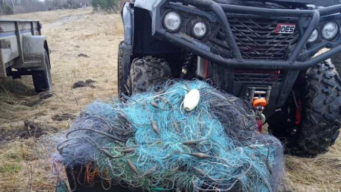 Rīgas līča piekrastē, Limbažu novadā, īsā laikā periodā no ūdens izcelti maluzvejnieku tīkli vairāk nekā 2km garumā 