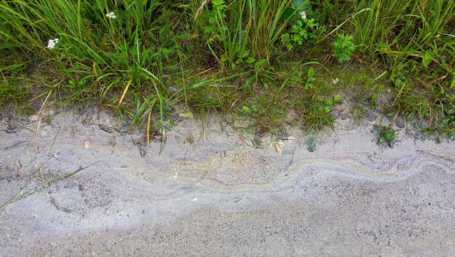 Naftas produktu piesārņojums uz ceļa