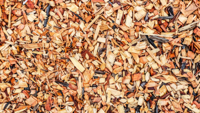 foto ar koka šķeldu