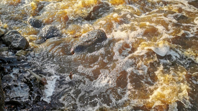 Piesārņojums ar digestātu Salacgrīvas novadā - Zaķupītē