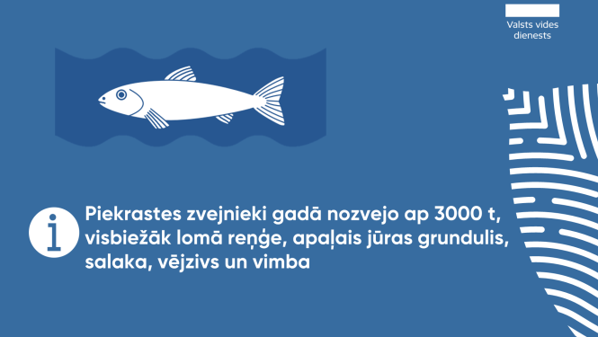 Piekrastes zvejnieki gadā nozvejo ap 3000 t, visbiežāk lomā reņģe, apaļais jūras grundulis, salaka, vējzivs un vimba