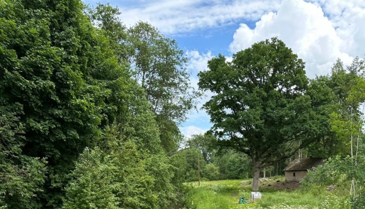 Ar mērķi apzināt progresu Dzelzupes piesārņojuma mazināšanā, VVD tikās ar iedzīvotājiem un Talsu Ūdens vadību 