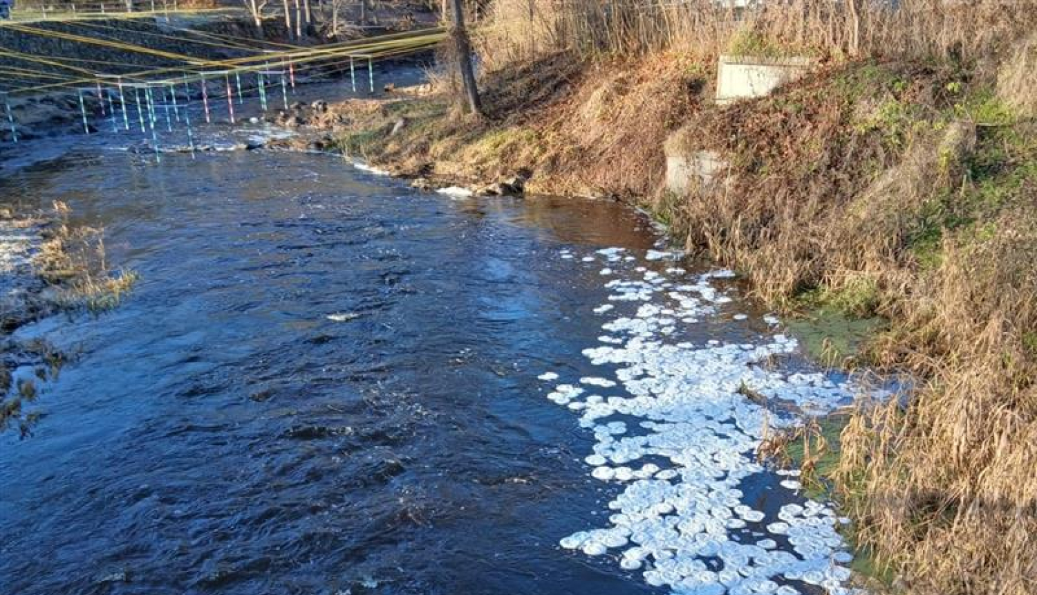 Iecavas upe ar dabas parādību - ledus pankūkas, balti veidojumi