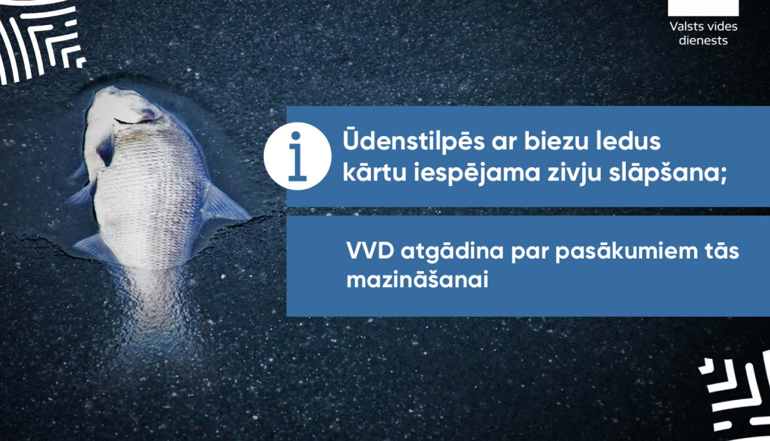 Ūdenstilpēs ar biezu ledus kārtu iespējama zivju slāpšana; VVD atgādina par pasākumiem tās mazināšanai