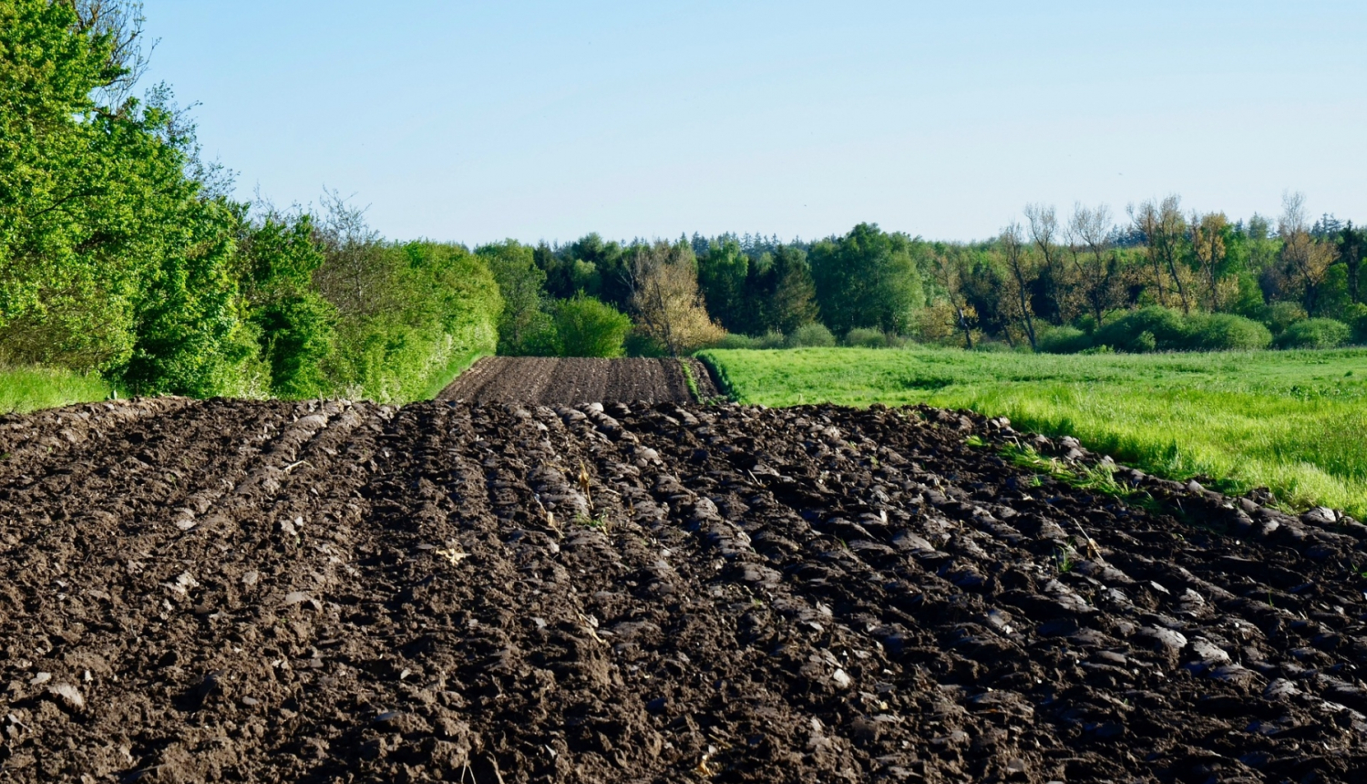 Foto ar uzartu lauku