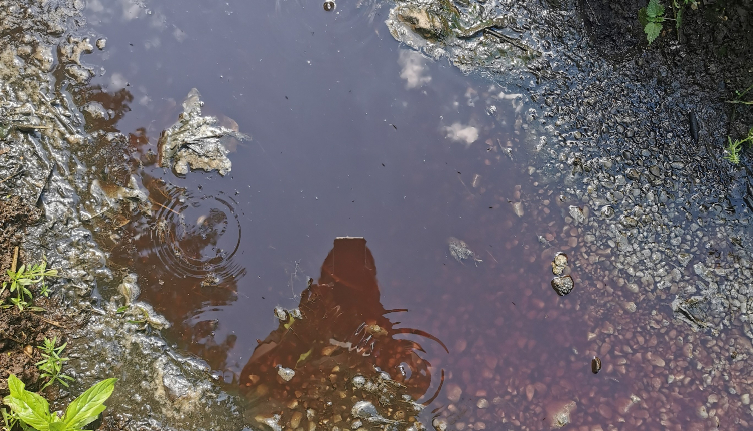 Piesārņojums no notekūdeņiem lopkautuvē