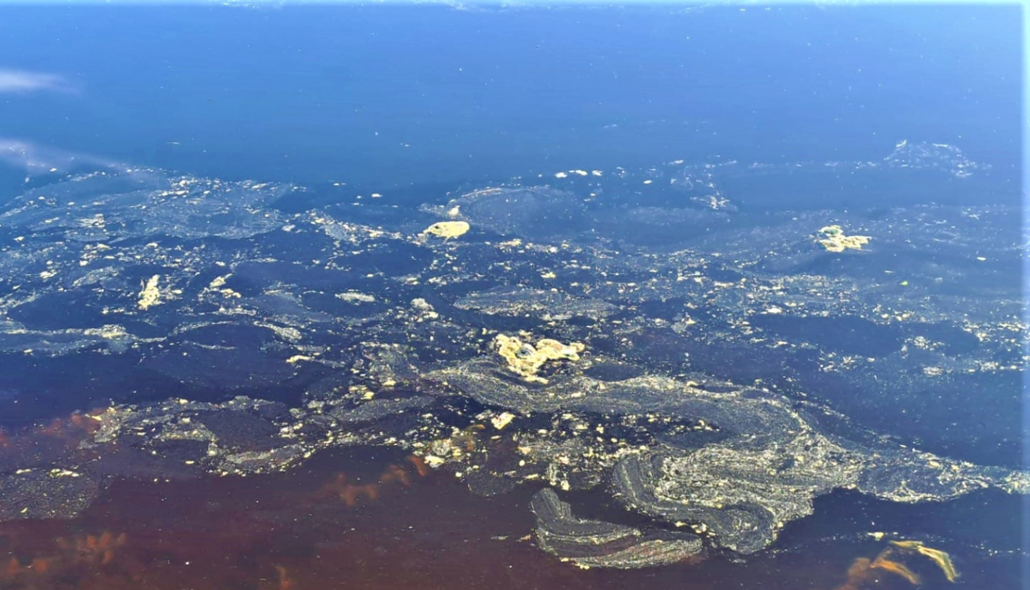 Latvijā ūdenstilpēs novērotie dzeltenie plankumi nav vides piesārņojums, bet priežu ziedputekšņi