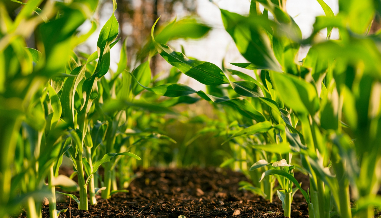 metodiskais_materials