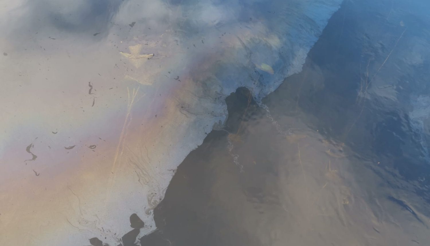 Naftas piesārņojums ūdenī