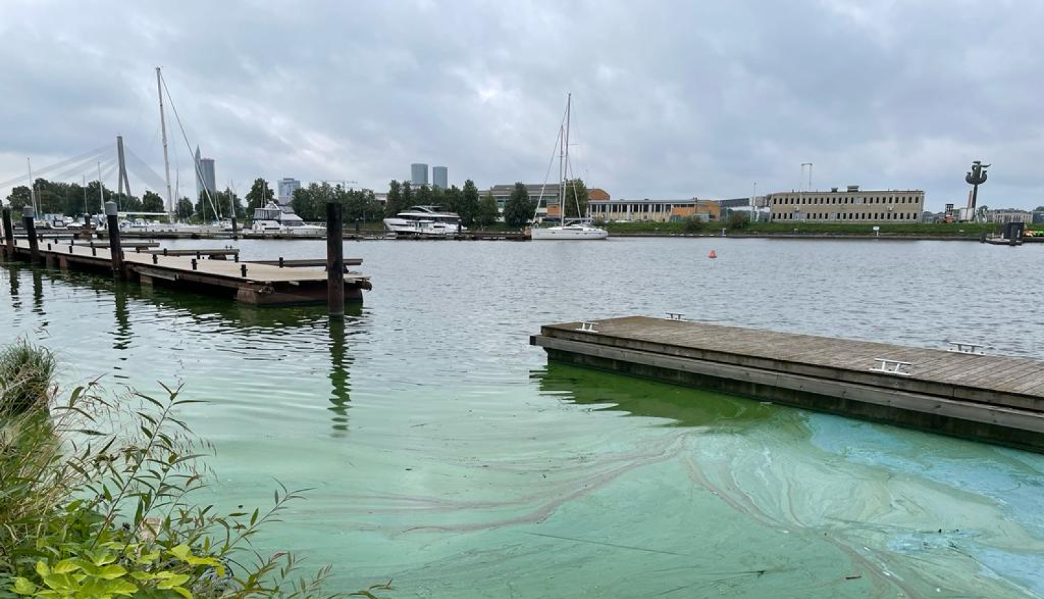 [16:57] Karīna Dvorjaņinova  VVD informē - vairākās Latvijas ūdenstilpēs novērojama zilaļģu savairošanās