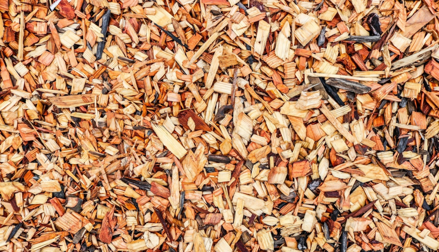 foto ar koka šķeldu