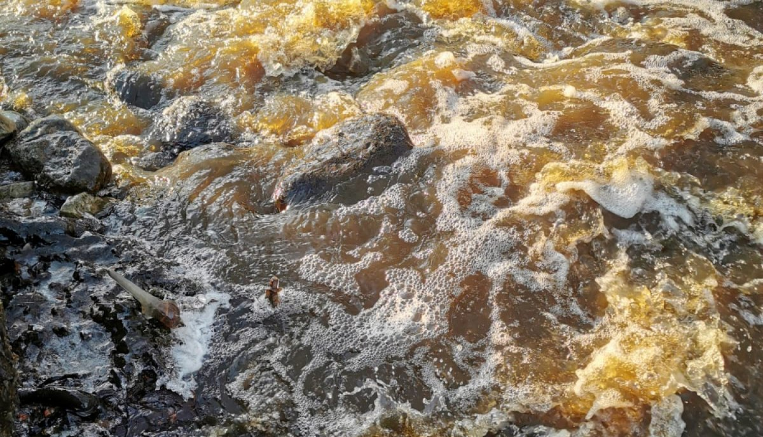 Piesārņojums ar digestātu Salacgrīvas novadā - Zaķupītē