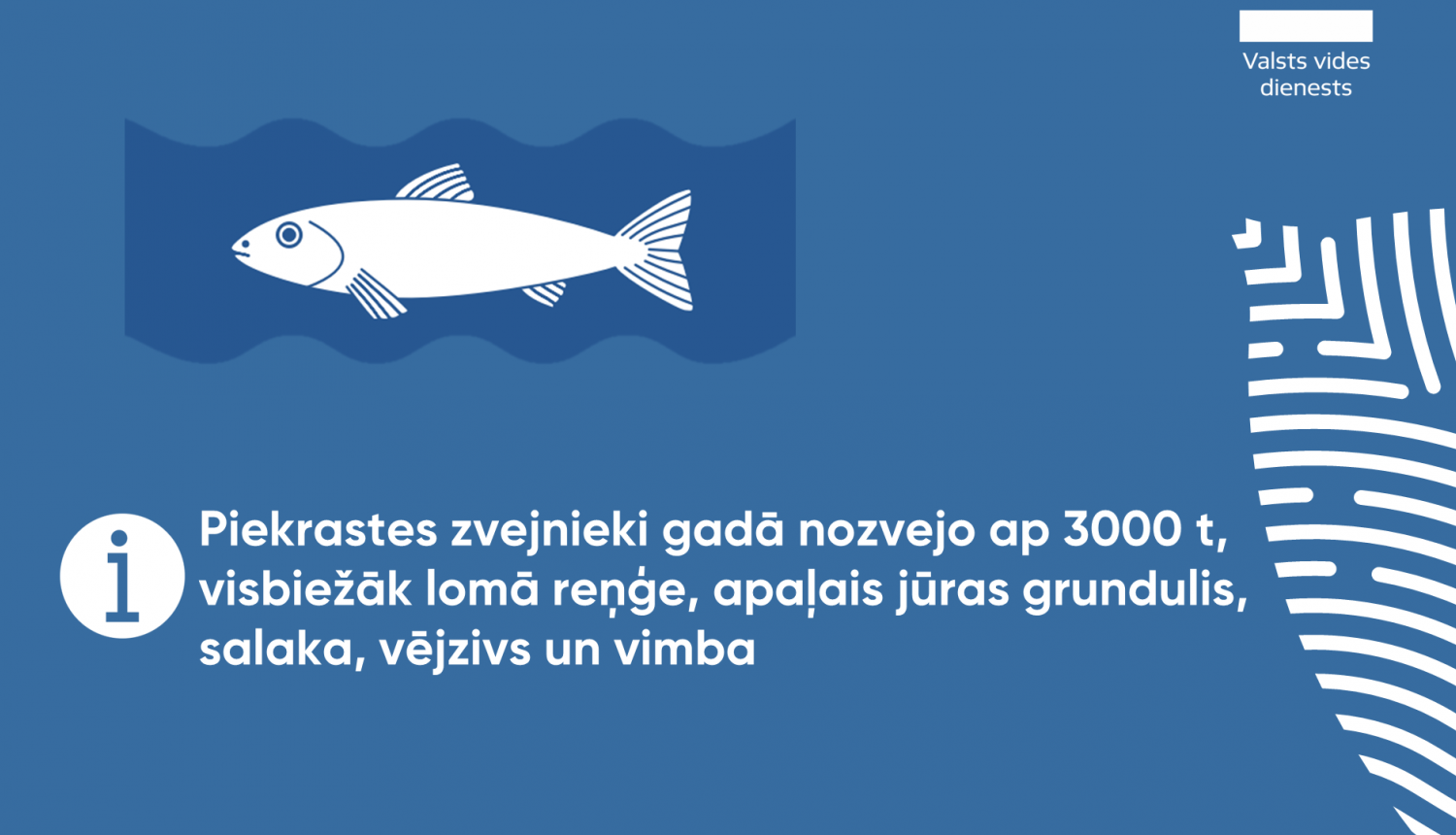 Piekrastes zvejnieki gadā nozvejo ap 3000 t, visbiežāk lomā reņģe, apaļais jūras grundulis, salaka, vējzivs un vimba