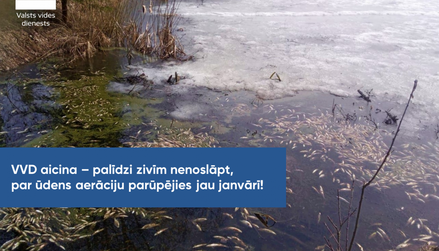 Ūdenstilpēs ar biezu ledus kārtu iespējama zivju slāpšana; VVD atgādina par pasākumiem zivju slāpšanas mazināšanai
